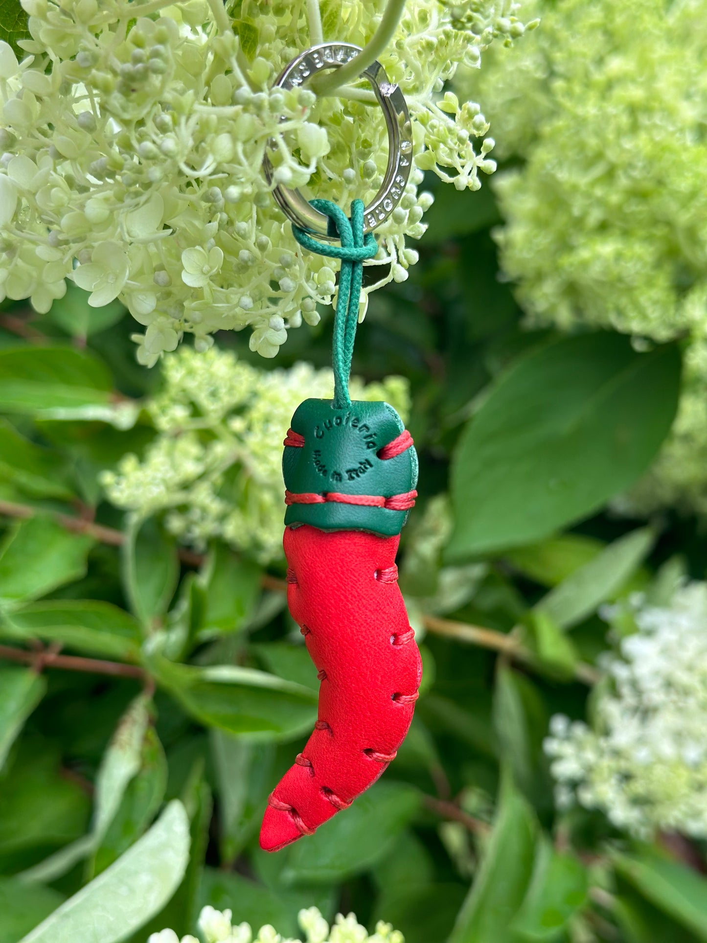 Red Pepper